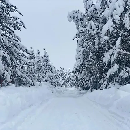 Vikendica Anamaria , Blidinje * Risovac