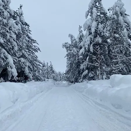 Vikendica Anamaria , Blidinje Vikendica *